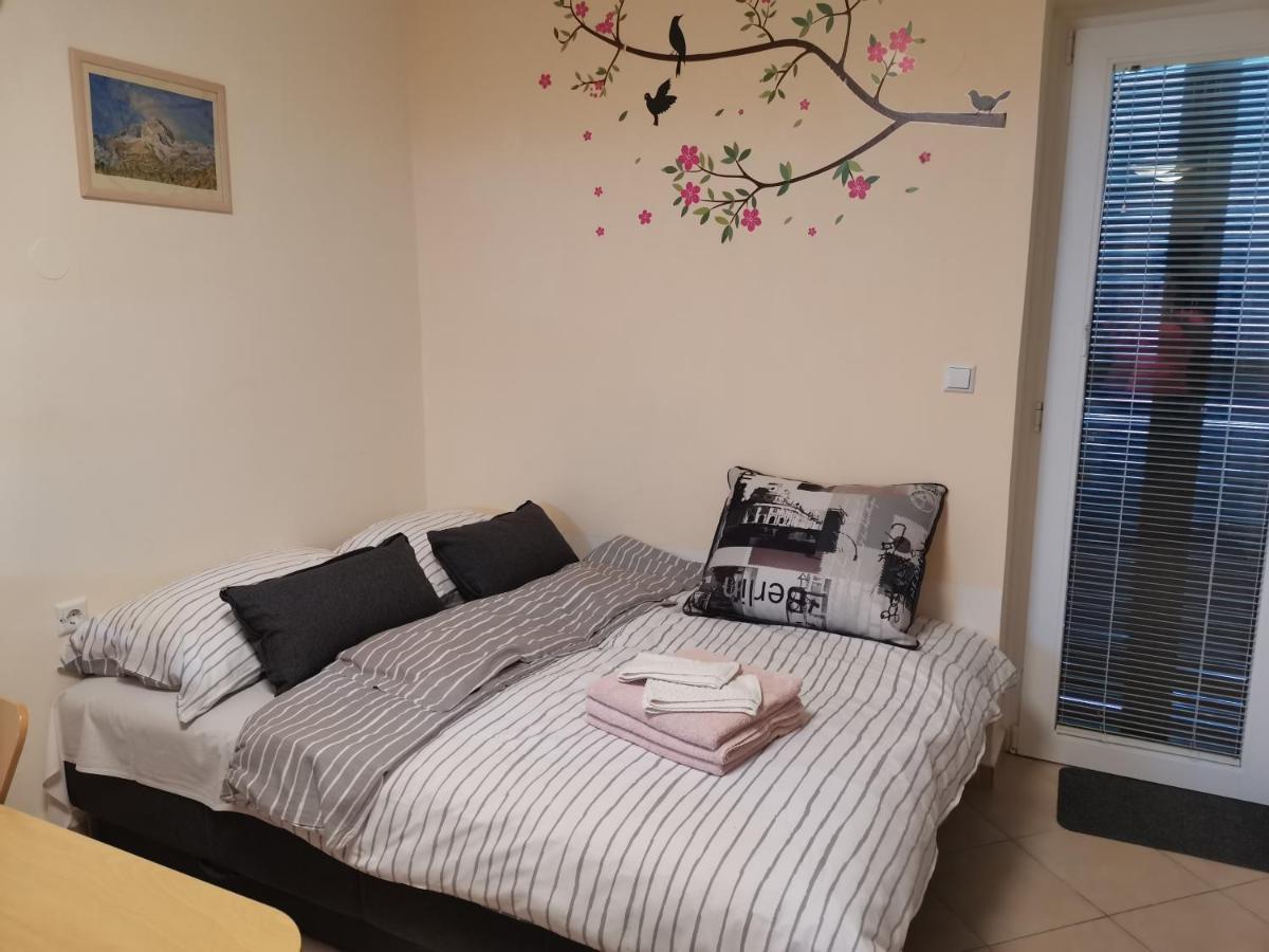 Apartma Gaber 80 즈코르녜즈레쎄 외부 사진